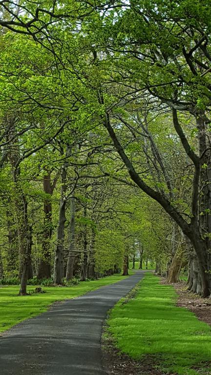 هاملتون Oak Lane Lodge المظهر الخارجي الصورة