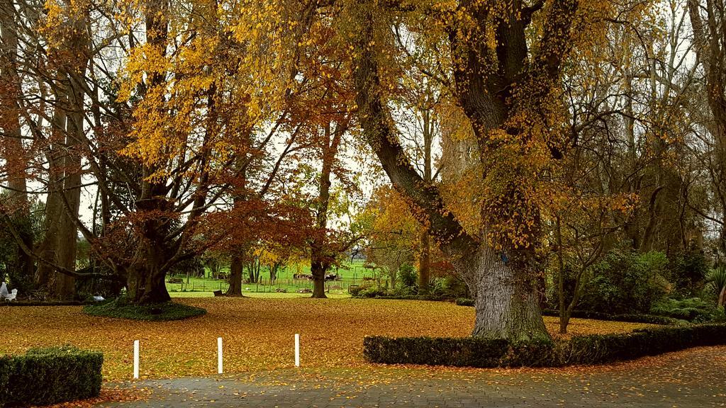 هاملتون Oak Lane Lodge المظهر الخارجي الصورة