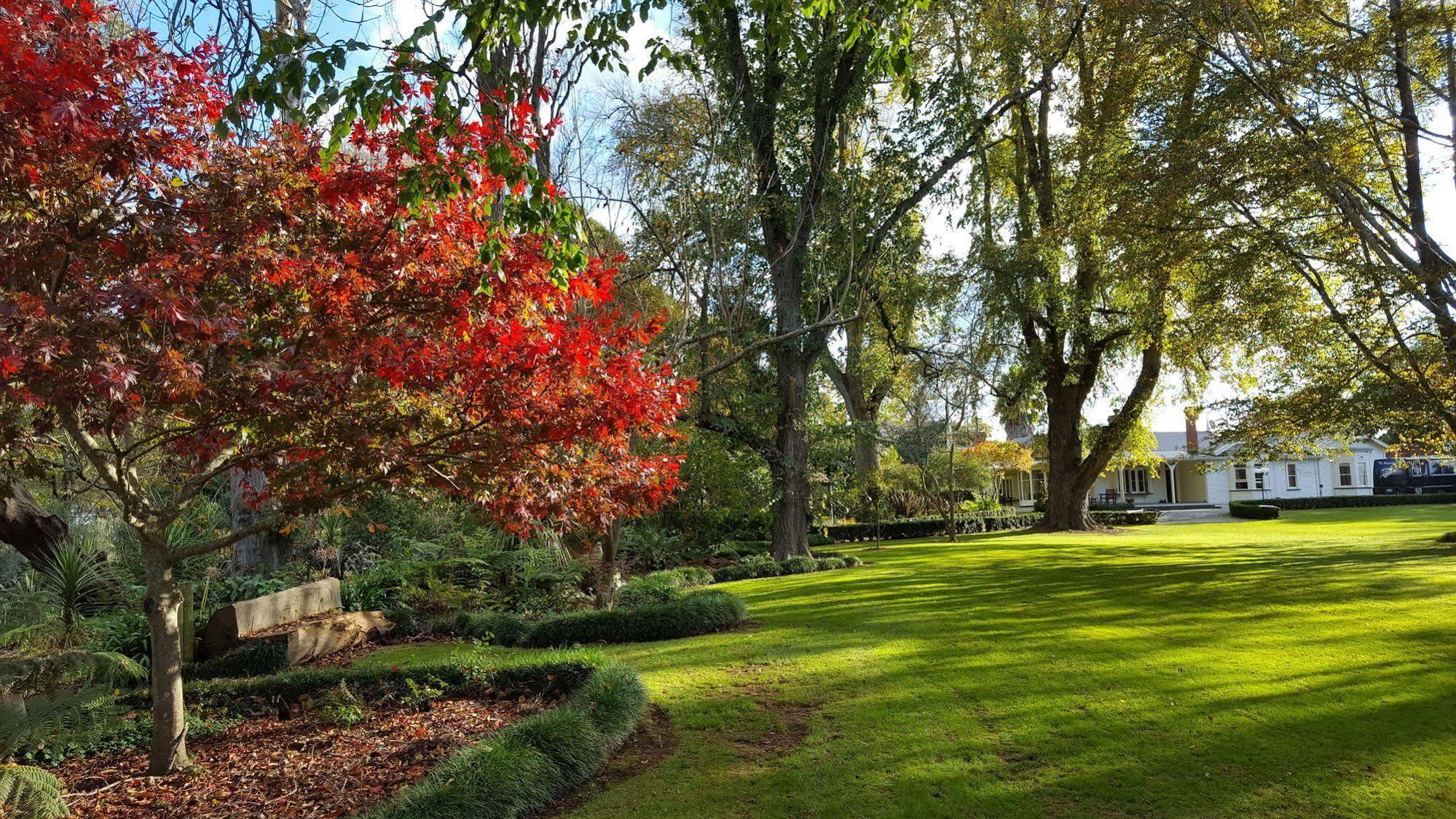 هاملتون Oak Lane Lodge المظهر الخارجي الصورة